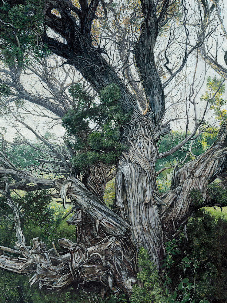 Art Image