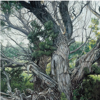 Landscape Art